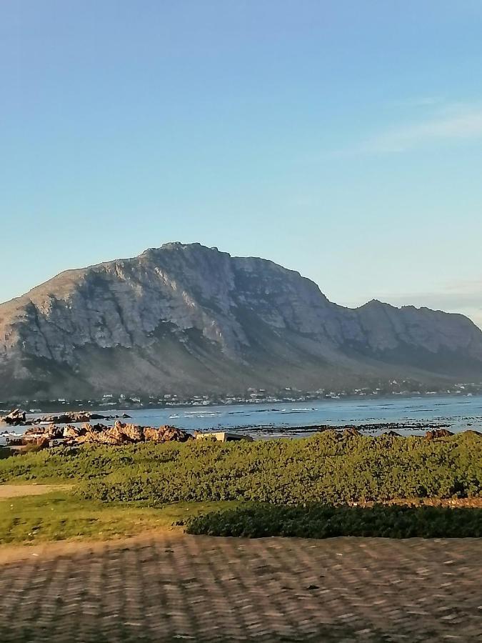 Apartamento Just Chill Betty'S Bay Exterior foto